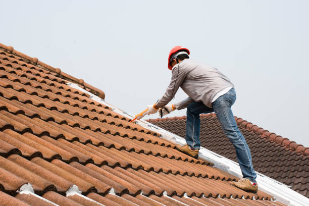 Best 4 Ply Roofing  in Oracle, AZ